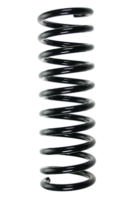 49556