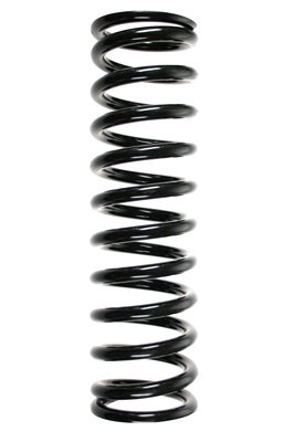 55603