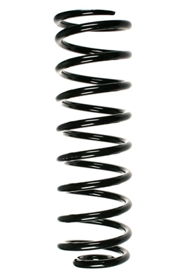 56560