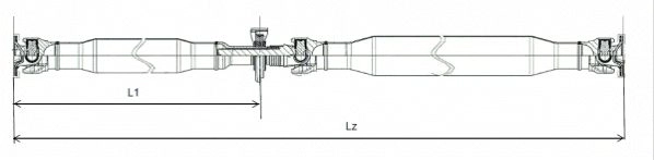 GKNP20036