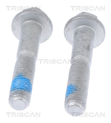 Болт *TRISCAN* FORD, VOLVO |--->8500 10402 / OEM->1202312 / FE->29451