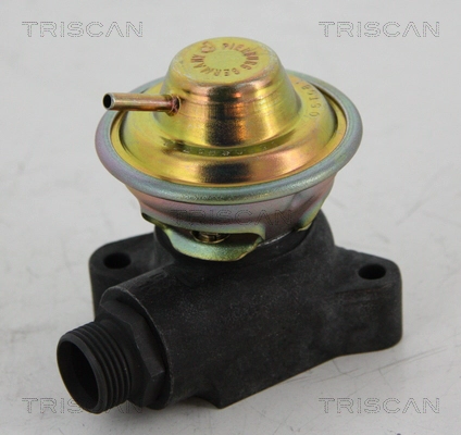 8813 23204