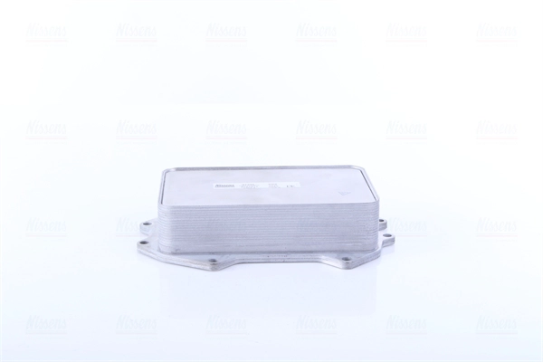06M117015M