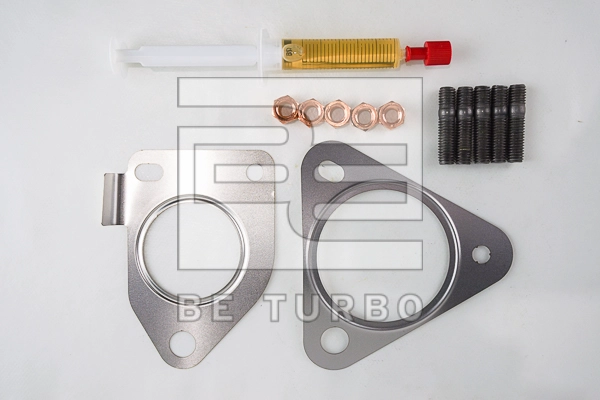ABS309