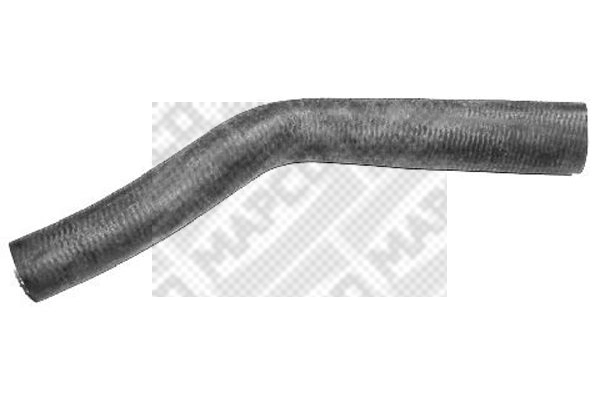39205