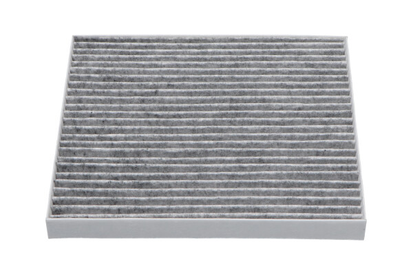 TC 1011 C