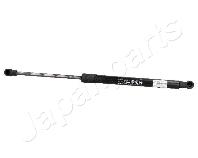 ZS02081