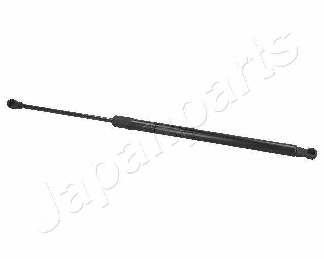 ZS09170