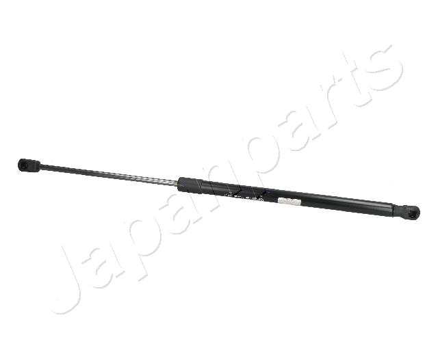 ZS09070