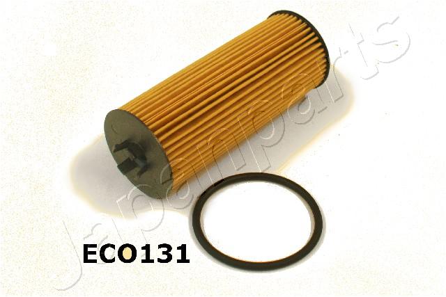 FO-ECO131