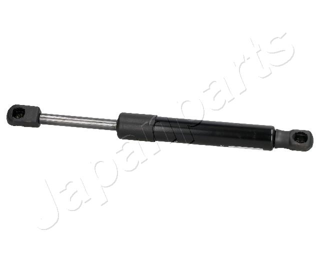 ZS03008