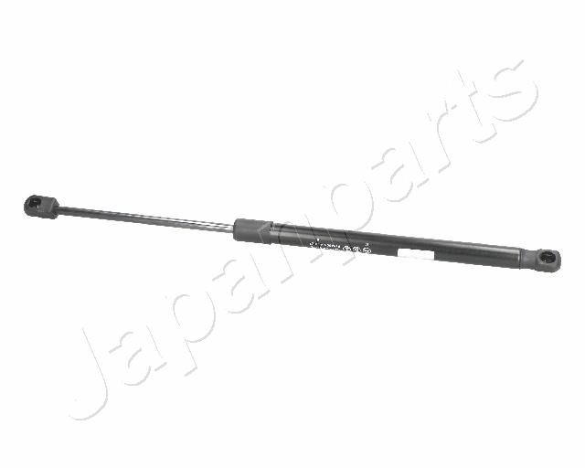 ZS09212