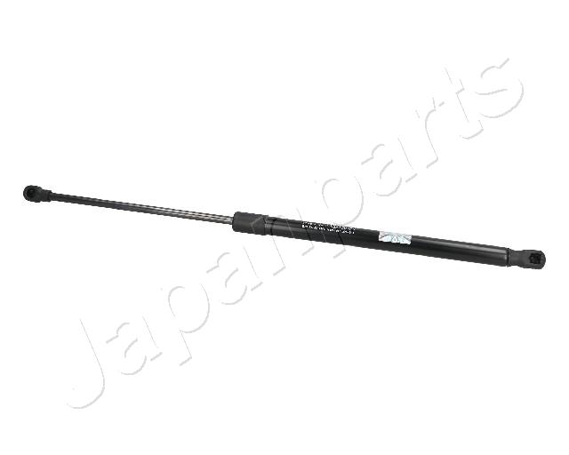 ZS09022