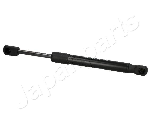 ZS01063