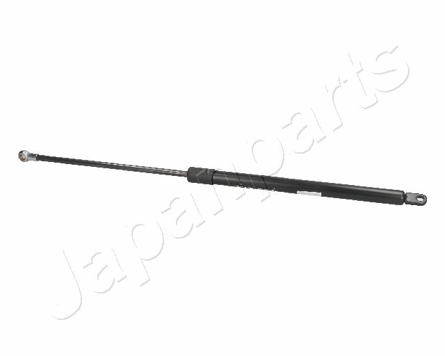ZS09180