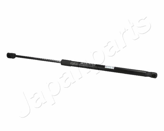 ZS06021