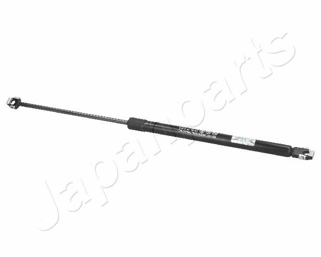 ZS01013