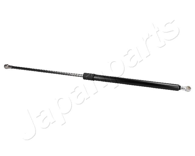 ZS80008