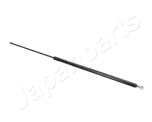 ZS09119