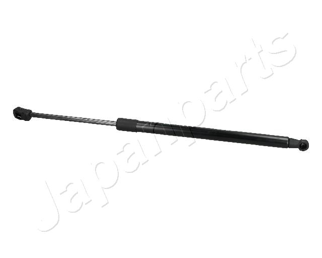 ZS30010