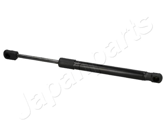 ZS01054