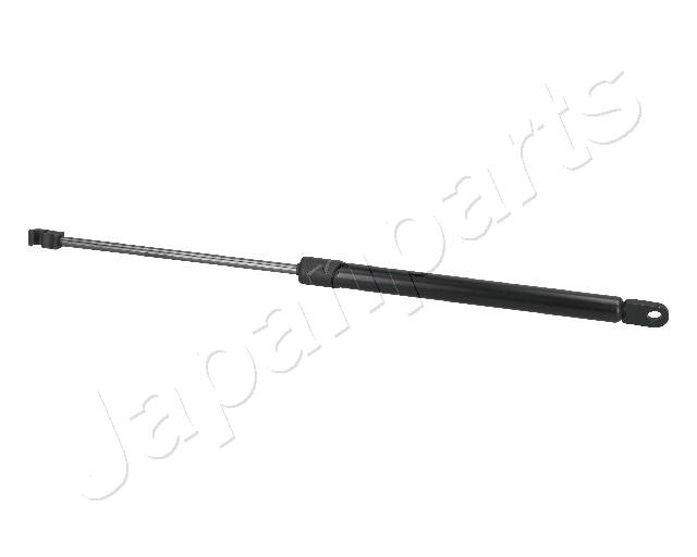 ZS03118