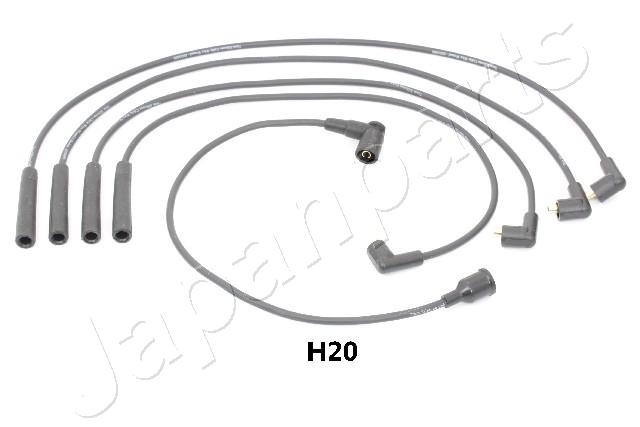 IC-H20