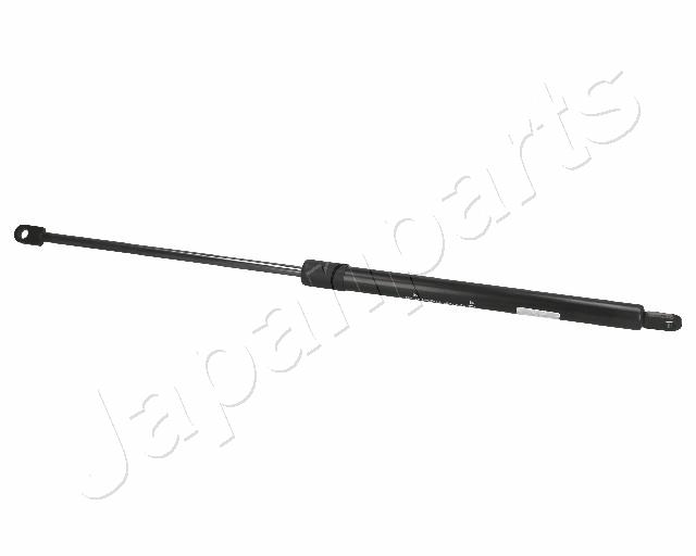 ZS01001