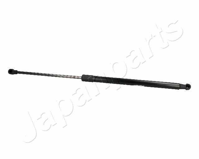 ZS06098