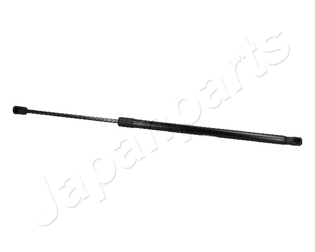 ZS10005