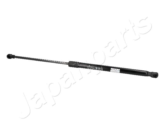 ZS09181