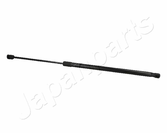ZS06102