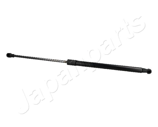 ZS10020