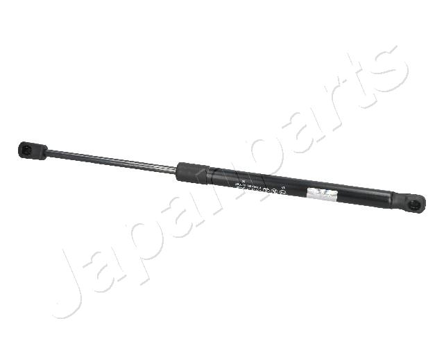 ZS09066