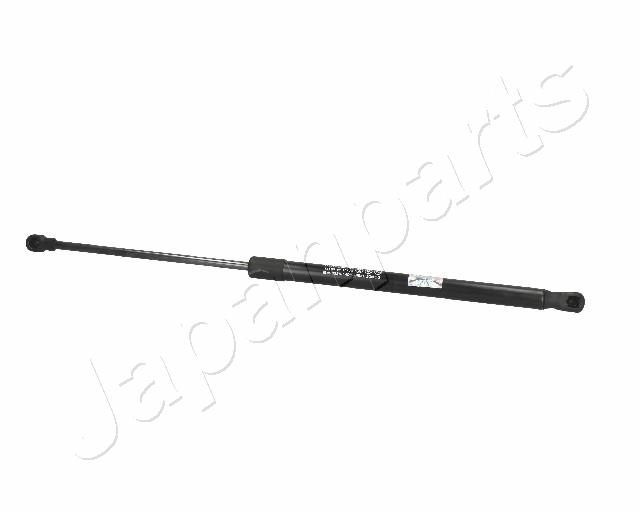 ZS09178