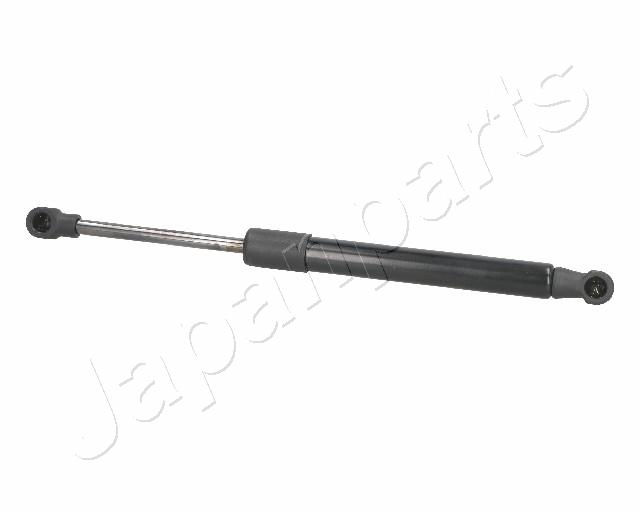 ZS01076