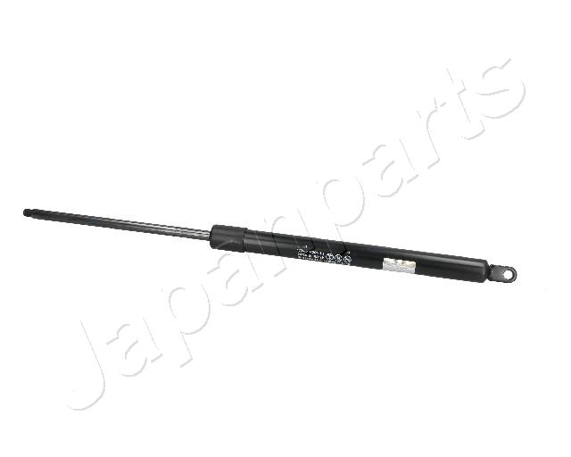 ZS03116
