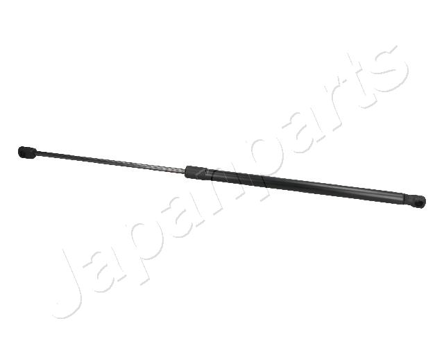 ZS09021