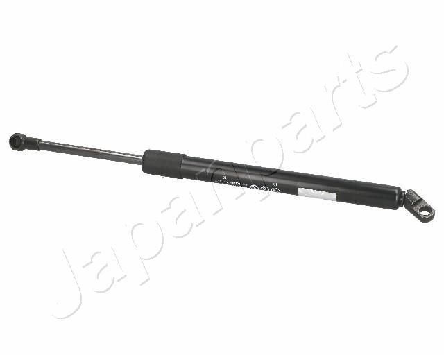 ZS01007