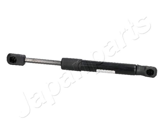 ZS05038