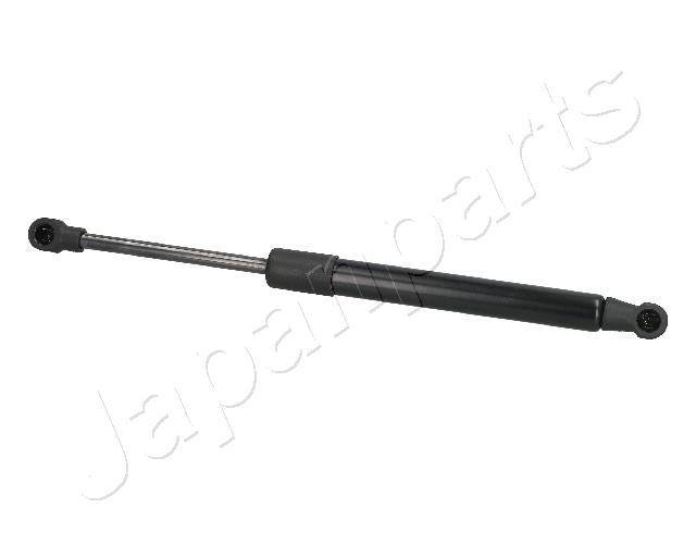 ZS03010