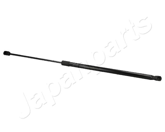 ZS06015