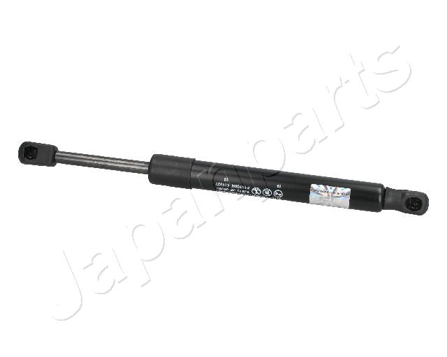 ZS09039