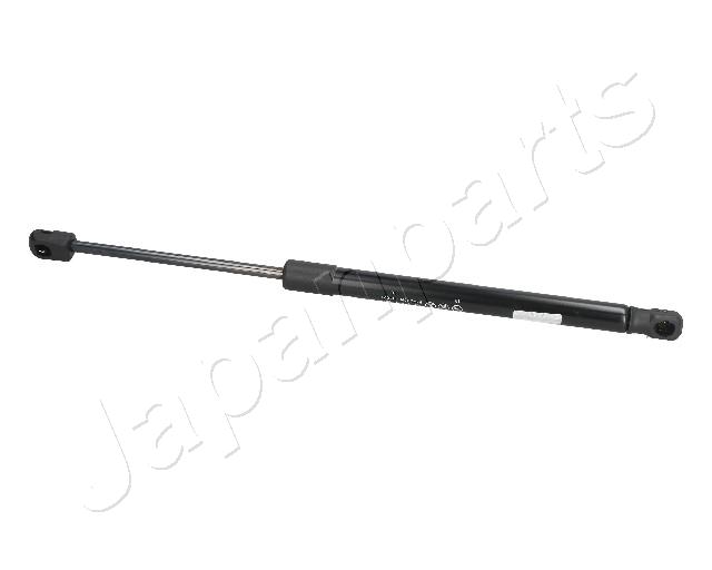 ZS09041