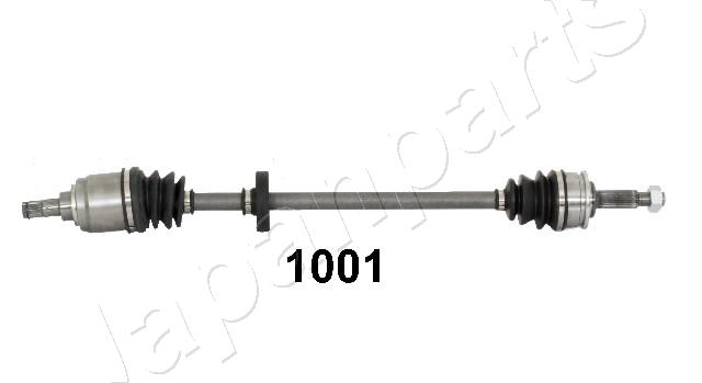 GI-1001