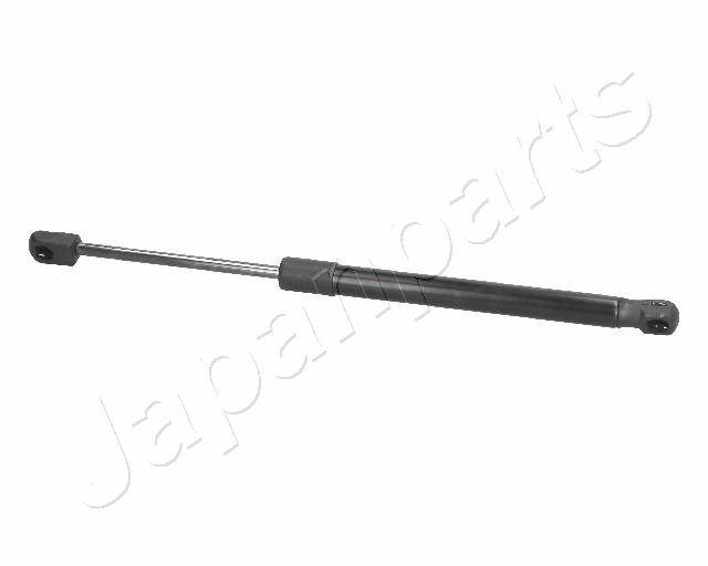 ZS01078