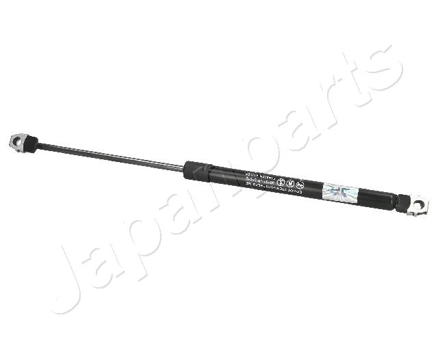 ZS01012