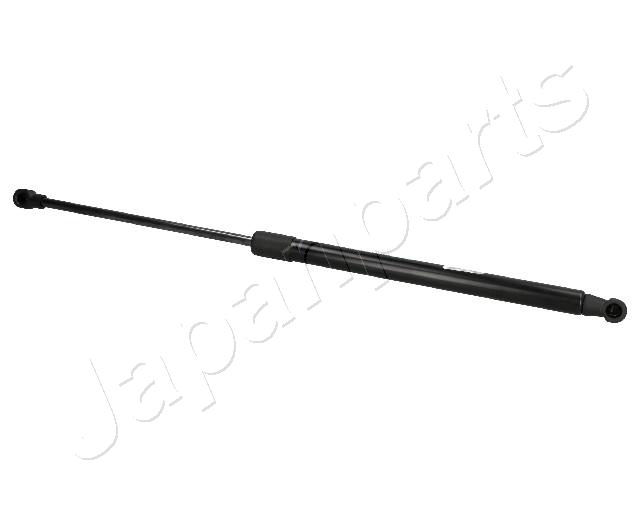 ZS01096