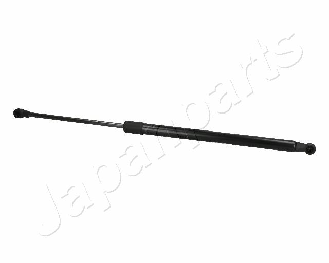 ZS06012