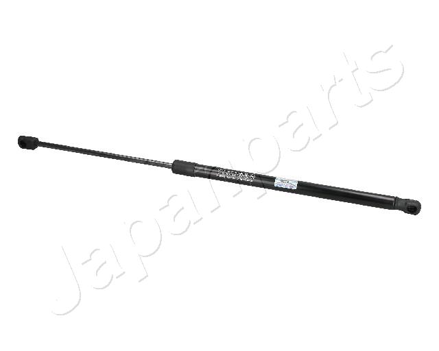ZS02080